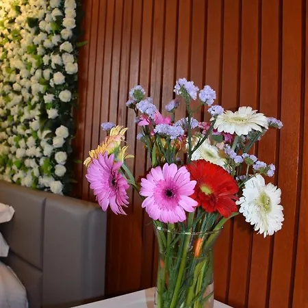 Hotell Ergi's 4*
